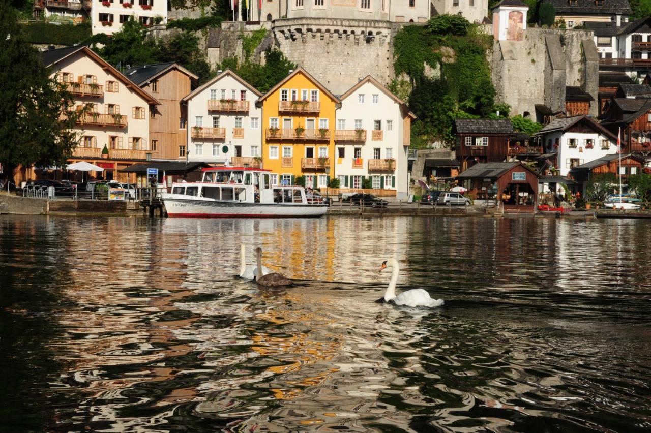 Apartament Haus Alpenblick Obertraun Zewnętrze zdjęcie