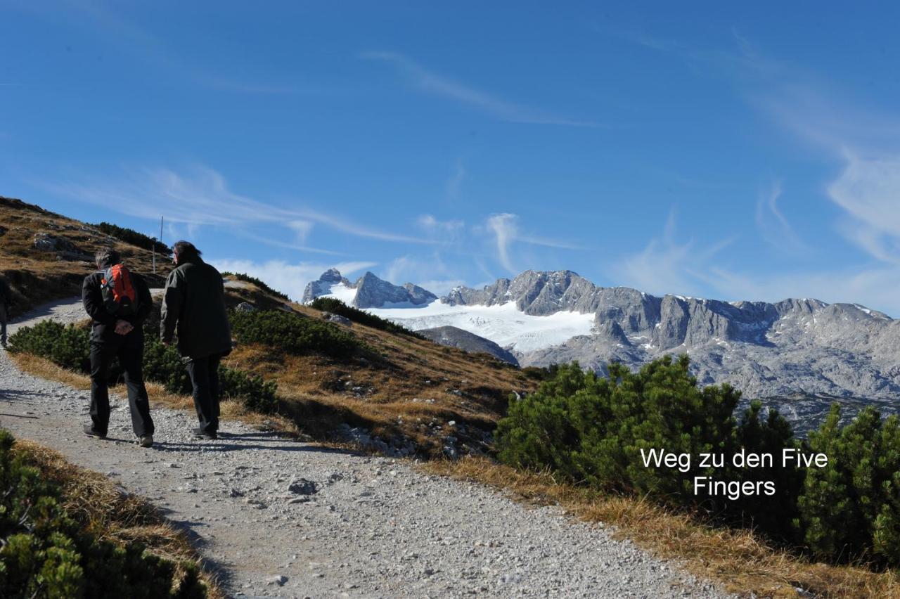 Apartament Haus Alpenblick Obertraun Zewnętrze zdjęcie
