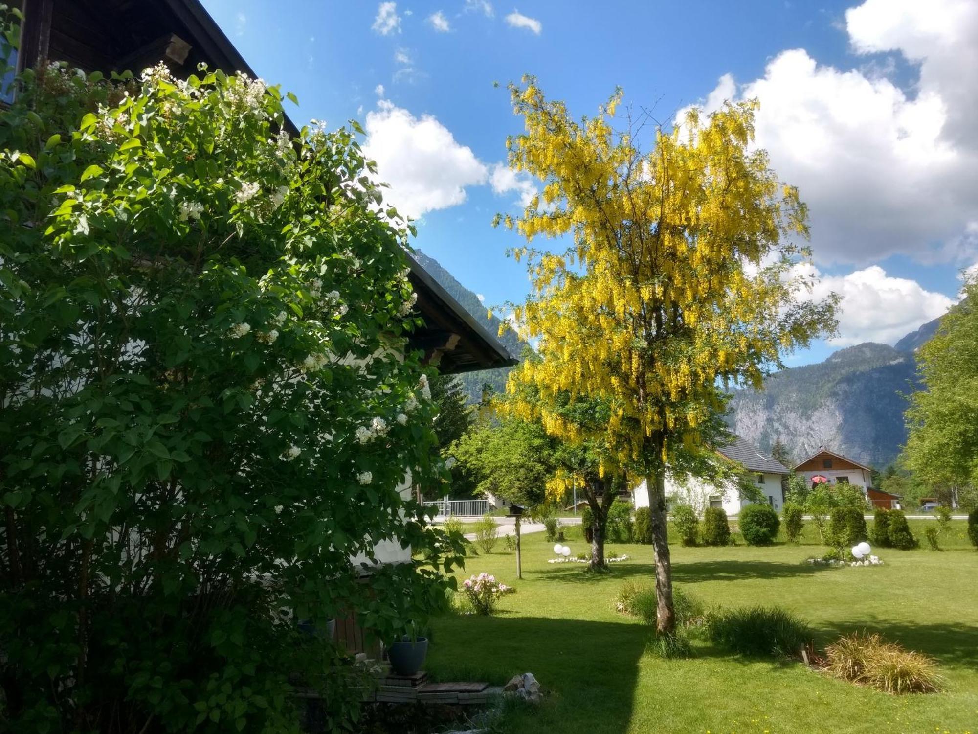Apartament Haus Alpenblick Obertraun Zewnętrze zdjęcie