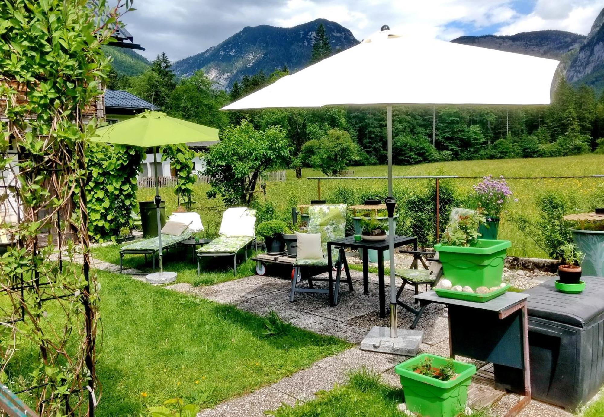Apartament Haus Alpenblick Obertraun Zewnętrze zdjęcie