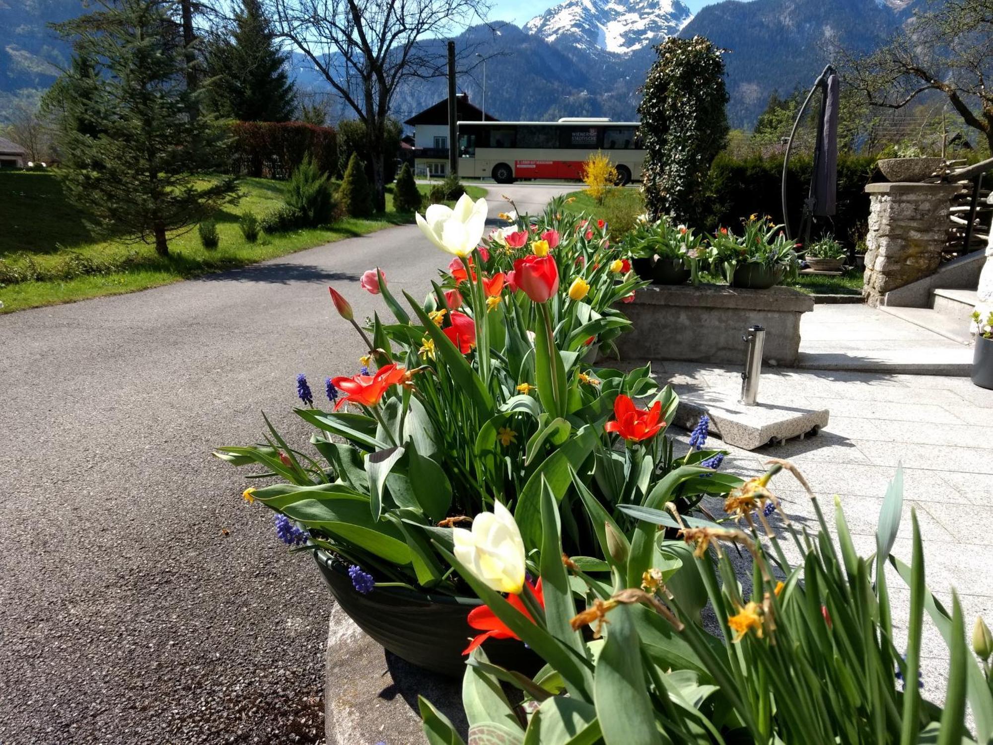 Apartament Haus Alpenblick Obertraun Zewnętrze zdjęcie