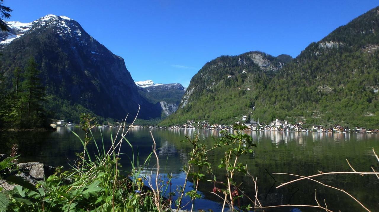 Apartament Haus Alpenblick Obertraun Zewnętrze zdjęcie